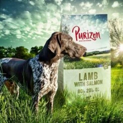 Purizon Probierpaket 2 X 1 Kg -Angebote Hunde Moden Store lamb 4