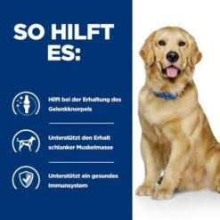 Hill's Prescription Diet J/d Nassfutter Für Hunde Mit Huhn -Angebote Hunde Moden Store pd jd dog bk25363m bk30425 how helps de 2