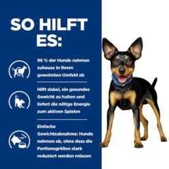 Hill's Prescription Diet Metabolic Gewichtsmanagement Mini 16 Hill's Prescription Diet Metabolic Gewichtsmanagement Mini -Angebote Hunde Moden Store pd metabolic dog mini bk28229m bk30786 how helps de 8