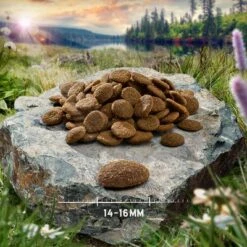 Übergangsset! Purizon- Getreidefrei Für Welpen Und Erwachsene Hunde -Angebote Hunde Moden Store purizon hund adult chicken 14 16 mm 4