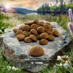 Übergangsset! Purizon- Getreidefrei Für Welpen Und Erwachsene Hunde -Angebote Hunde Moden Store purizon hund adult large chicken 18 19 mm 7