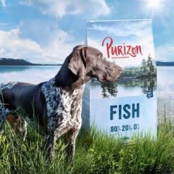 Purizon Probierpaket 2 X 1 Kg -Angebote Hunde Moden Store purizon idcard fish 1000x1000 2 1 7