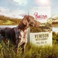 Purizon Probierpaket 2 X 1 Kg -Angebote Hunde Moden Store purizon idcard venison 1000x1000 1 9