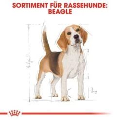 Royal Canin Beagle Adult -Angebote Hunde Moden Store rc bhn beagle cv eretailkit 1 de de 6