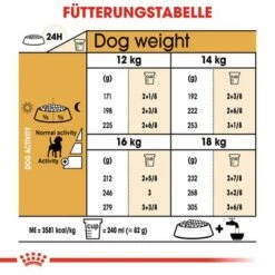 Royal Canin Beagle Adult -Angebote Hunde Moden Store rc bhn beagle cv eretailkit 5 de de 2