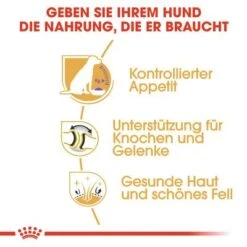 Royal Canin Labrador Retriever Adult Sterilised -Angebote Hunde Moden Store rc bhn labradorsterilised cv eretailkit 3 de de 4