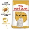 Royal Canin Maltese Adult