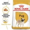 Royal Canin Pug Adult