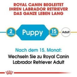 Royal Canin Labrador Retriever Puppy 8 Royal Canin Labrador Retriever Puppy -Angebote Hunde Moden Store rc bhn puppylabradorretriever cm eretailkit 1 de de 1