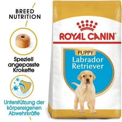 Royal Canin Labrador Retriever Puppy 1 Royal Canin Labrador Retriever Puppy