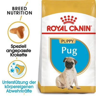 Royal Canin Pug Puppy 1 Royal Canin Pug Puppy