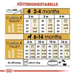 Royal Canin Rottweiler Puppy 9 Royal Canin Rottweiler Puppy -Angebote Hunde Moden Store rc bhn puppyrottweiler cm eretailkit 5 de de 3