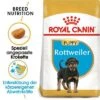 Royal Canin Rottweiler Puppy