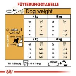 Royal Canin Miniature Schnauzer Adult -Angebote Hunde Moden Store rc bhn schnauzer cv eretailkit 5 de de 5