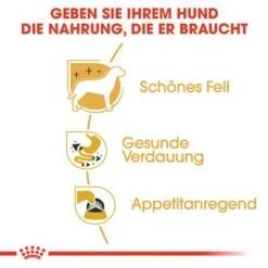 Nassfutter Als Ergänzung Zu Royal Canin Chihuahua Adult -Angebote Hunde Moden Store rc bhn wet chihuahua cv eretailkit 3 de de 7