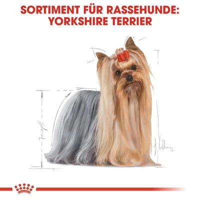 Nassfutter Als Ergänzung Zu Royal Canin Yorkshire Terrier Adult – Bild 3