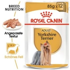 Nassfutter Als ErgÀnzung Zu Royal Canin Yorkshire Terrier Adult
