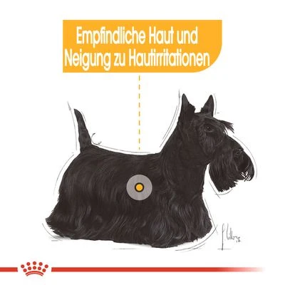 Nassfutter Als Ergänzung Zu Royal Canin Dermacomfort 3 Nassfutter Als Ergänzung Zu Royal Canin Dermacomfort – Bild 3