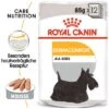 Nassfutter Als Ergänzung Zu Royal Canin Dermacomfort