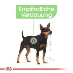 Royal Canin Digestive Care Mousse -Angebote Hunde Moden Store rc ccn wet digestive cv eretailkit 1 de de 5