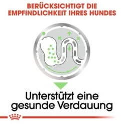 Royal Canin Digestive Care Mousse -Angebote Hunde Moden Store rc ccn wet digestive cv eretailkit 3 de de 2