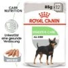 Royal Canin Digestive Care Mousse