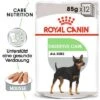Nassfutter Als Ergänzung Zu Royal Canin Digestive Care