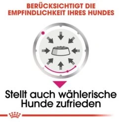 Nassfutter Als Ergänzung Zu Royal Canin Exigent Mini -Angebote Hunde Moden Store rc ccn wet exigent cv eretailkit 3 de de 5