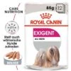 Royal Canin Exigent Mousse