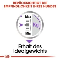 Royal Canin Sterilised Mousse -Angebote Hunde Moden Store rc ccn wet sterilised cv eretailkit 3 de de 8