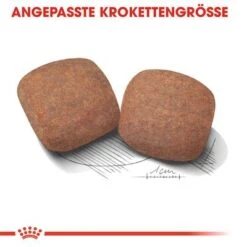 Royal Canin Giant Adult -Angebote Hunde Moden Store rc shn adultgiant cv eretailkit 3 de de 6