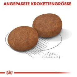 Royal Canin Medium Adult 7+ -Angebote Hunde Moden Store rc shn adultmedium7 cv eretailkit 3 de de 2