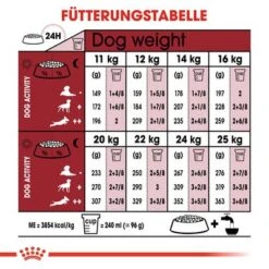 Royal Canin Medium Adult 7+ -Angebote Hunde Moden Store rc shn adultmedium7 cv eretailkit 4 de de 2
