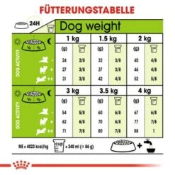 Royal Canin X-Small Adult 8 + 11 Royal Canin X-Small Adult 8 + -Angebote Hunde Moden Store rc shn adultxsmall8 cv eretailkit 4 de de 9