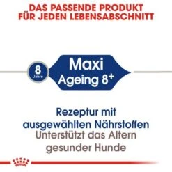 Royal Canin Maxi Ageing 8+ -Angebote Hunde Moden Store rc shn ageingmaxi8 cv eretailkit 1 de de 6