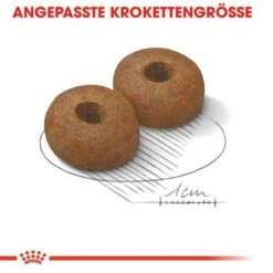 Royal Canin Maxi Ageing 8+ -Angebote Hunde Moden Store rc shn ageingmaxi8 cv eretailkit 3 de de 2