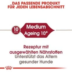 Royal Canin Medium Ageing 10+ -Angebote Hunde Moden Store rc shn ageingmedium10 cv eretailkit 1 de de 4