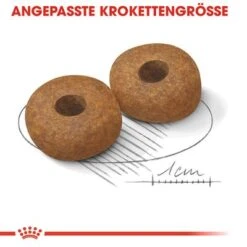 Royal Canin Medium Ageing 10+ -Angebote Hunde Moden Store rc shn ageingmedium10 cv eretailkit 3 de de 6