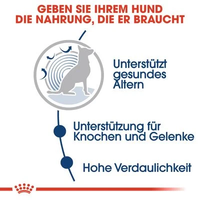 Nassfutter Als Ergänzung Zu Royal Canin Maxi Adult 7 Nassfutter Als Ergänzung Zu Royal Canin Maxi Adult – Bild 7