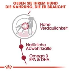 Royal Canin Medium Adult In Soße -Angebote Hunde Moden Store rc shn wet mediumadult cv eretailkit 2 de de 1