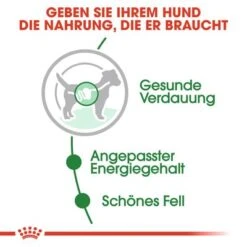 Nassfutter Als Ergänzung Zu Royal Canin Mini Adult -Angebote Hunde Moden Store rc shn wet miniadult cv eretailkit 2 de de 9