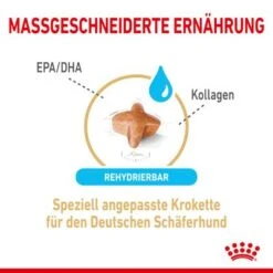 Royal Canin German Shepherd Adult 5+ -Angebote Hunde Moden Store rc spt dry germshep5 cv 2 de de 5