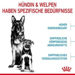 Royal Canin Maxi Starter Mother & Babydog -Angebote Hunde Moden Store rc spt dry maxistart cv 2 de de 7