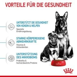 Royal Canin Maxi Starter Mother & Babydog -Angebote Hunde Moden Store rc spt dry maxistart cv 3 de de 2