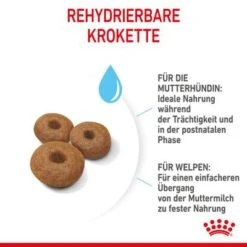 Royal Canin Maxi Starter Mother & Babydog -Angebote Hunde Moden Store rc spt dry maxistart cv 4 de de 7