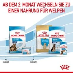 Royal Canin Maxi Starter Mother & Babydog -Angebote Hunde Moden Store rc spt dry maxistart cv 5 de de 9