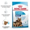 Royal Canin Maxi Starter Mother & Babydog