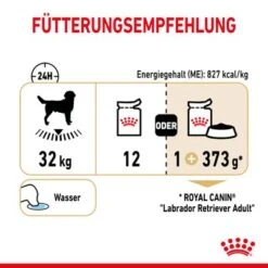 Nassfutter Als Ergänzung Zu Royal Canin Labrador Retriever Adult -Angebote Hunde Moden Store rc spt wet labad cv 5 de de 5