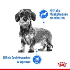 Royal Canin Light Weight Care Mousse -Angebote Hunde Moden Store rc spt wet lightweightallsize cv 1 de de 0