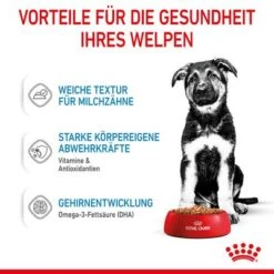Royal Canin Maxi Puppy In Soße -Angebote Hunde Moden Store rc spt wet maxipuppy cv 3 de de 2
